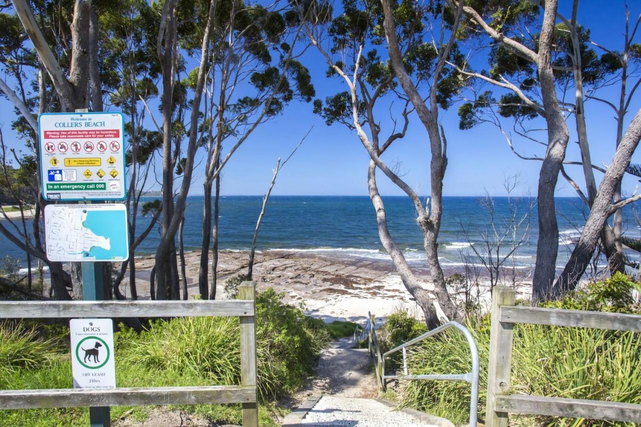Free Night On Us This Winter At Collers Beachside Mollymook Exterior photo